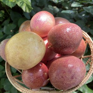 Organic Passionfruit (Ratchaburi)