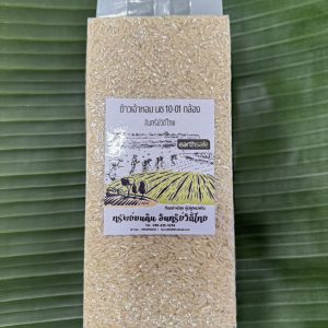 ข้าวเจ้าหอมพระราชทาน  มช10-01 กล้องออร์เเกนิค