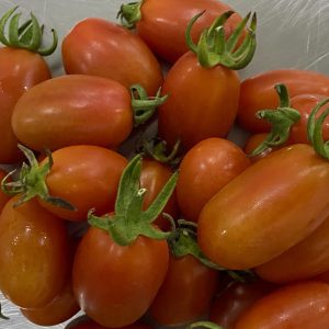 มะเขือเทศ King Fisher ออร์แกนิค (ราชบุรี)