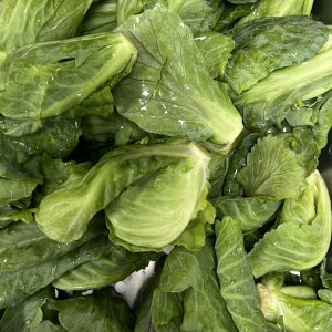 Organic Cabbage Sprouts (Pa La-U)