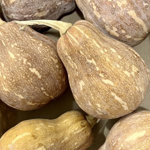 Organic "Tungthong" Pumpkin (Wungnamkiew)