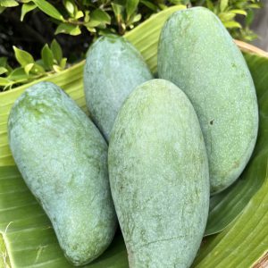 Organic "Kiew Savoey" Mangoes (Ratchaburi)