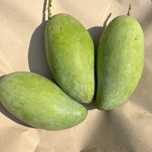 Organic "Nam Dok Mai Mun" Mangoes (Ratchaburi)