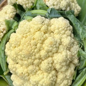 Organic Cauliflower (Pa La-U)