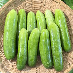 Organic Cucumbers (Wungnamkiew)