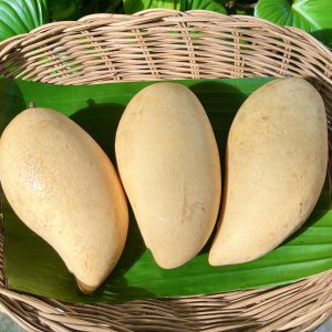 มะม่วงน้ำดอกไม้ออร์แกนิค