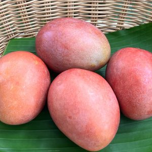 Organic “Ping Gua Wei” Mangoes