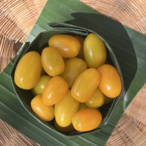 Organic  Flavio Yellow Cherry Tomatoes (Ratchaburi)