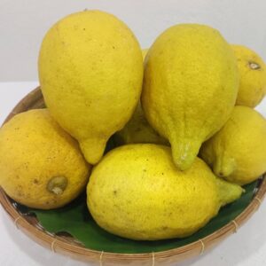 Organic Local Lemons (Ratchaburi)