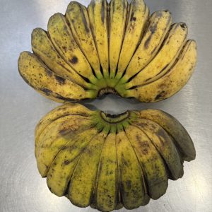 กล้วยเทพพนมออร์แกนิค (โคราช)