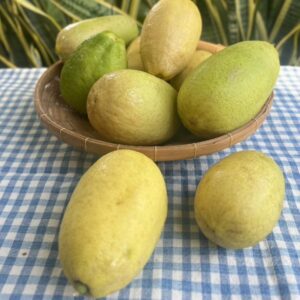 Organic Local Lemons (Ratchaburi)