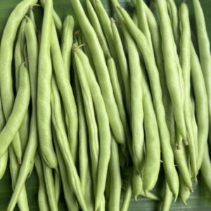 Organic Green Beans (Ratchaburi)