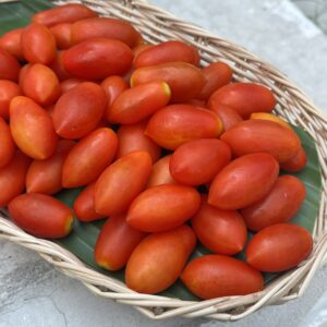 Organic " Sun shine” Cherry Tomatoes (Ratchaburi)