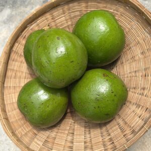 อะโวคาโดปีเตอร์สันออร์แกนิค (ป่าละอู)