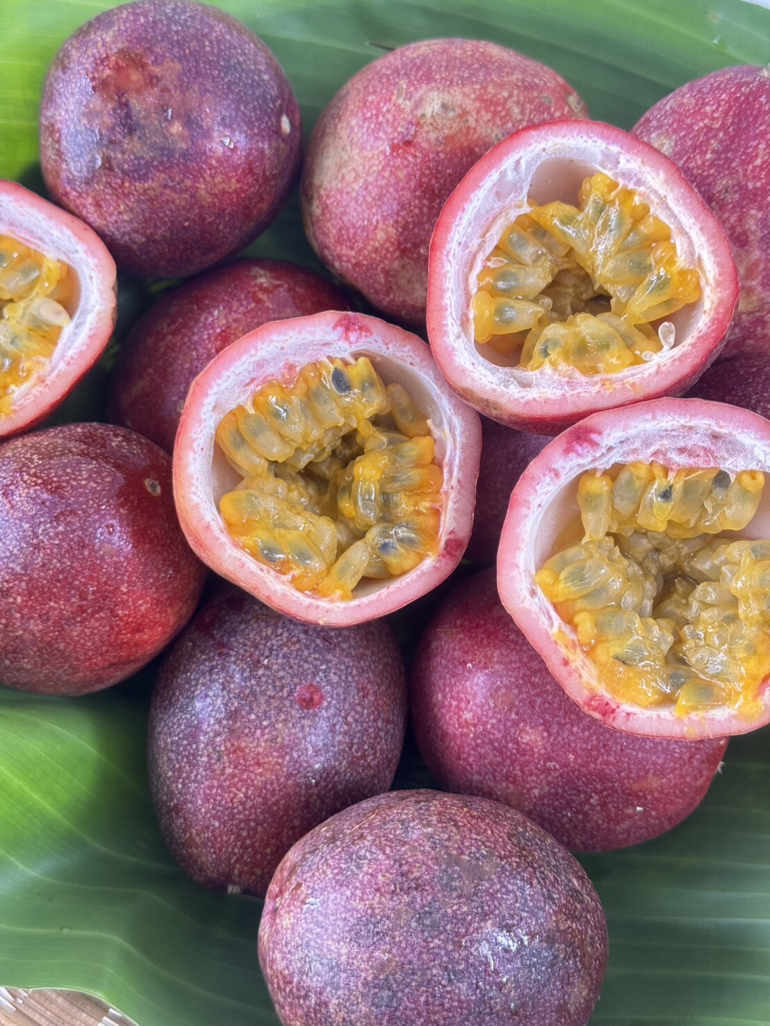 Organic Passionfruit (Chiang Mai)