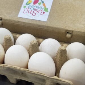 Organic Free Range Duck  Eggs (Ratchaburi)