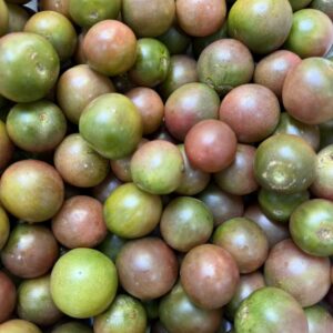 Organic Chocolate Cherry Tomatoes (Wungnamkiew)